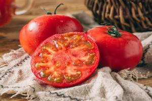 使用色差仪法分析番茄果实番茄红素的含量研究